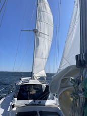 Sail with us aboard our 64’ sailing yacht Artemis. Gloucester MA. Meal included!