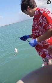 12 Passenger Suntracker Party Barge 24 DLX Pontoon in South Padre Island