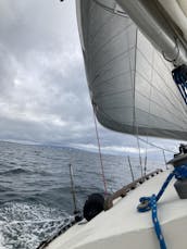 Incroyable location de voile privée sur un voilier de 36 pieds à Marina del Rey