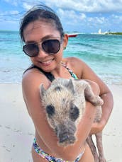 Private Swimming Pigs and luxury Tour 