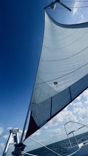 Robertson et Caine Leopard 40 2017 - Catamaran de luxe 