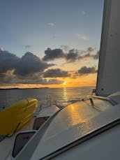 Enjoy Day Trips or Grenadines Cruises Onboard Our Luxury Catamaran