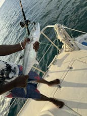 Enjoy Day Trips or Grenadines Cruises Onboard Our Luxury Catamaran