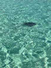 VIP Sea Ray 24’ Visit el Cielo Cozumel.