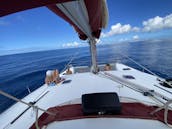 Charter the Lagoon 450 Cruising Catamaran for Anguilla Tours with Friends