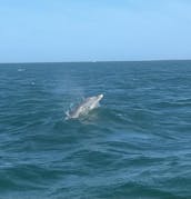 El mejor alquiler de barcos Tahoe T18 en la isla Anna Maria