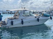 FUN & AFFORDABLE 38 FT SUNDANCER Motor Yacht in Cancun FREE JETSKI 1 HOUR