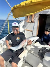 28' Cabin Cruiser Charter in La Paz, Mexico