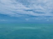 Snorkel, Sandbar, and Fish on a Cobia 28 Center Console