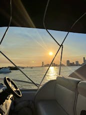 Miami Vibes: 40ft Van Dutch Boat for 13 people!!!