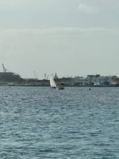 44ft Sailing Catamaran Charter in Bridgetown, Saint Michael