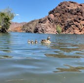 Croiseurs Yamaha VX 2023 avec système audio à Lake Havasu City