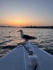 21' Luxury Electric Duffy Boat in Newport Beach