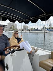 21' Duffy Electric boat in Marina del Rey, California