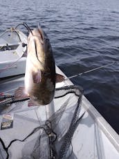 Electric fishing boat 