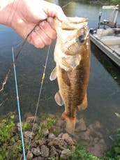 Electric fishing boat 