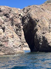 Passeio de barco de Panga ao longo da costa de San Carlos com um biólogo marinho