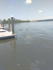 20FT BENNINGTON PONTOON FUN - TREASURE ISLAND