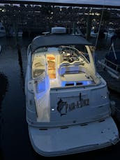 31ft Cabin Cruiser with Captain