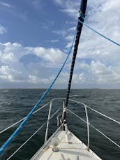 Sunset Sails: explore as águas abertas de Tampa, Flórida