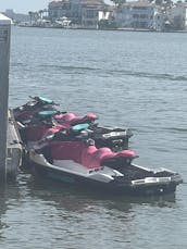 DOLPHIN TOUR CLEARWATER JETSKI 3 PASSENGER HONEYMOON ISLAND BLUETOOTH FAST SKI