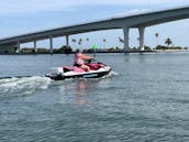 DOLPHIN TOUR CLEARWATER JETSKI 3 PASSENGER HONEYMOON ISLAND BLUETOOTH FAST SKI