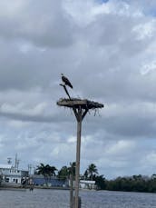 Aluguel de barco de 22 pés entregue em sua doca! 200 cv