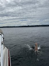 Fast and Fun 21' Glastron on Lake Union/Lake Washington - WEEKDAY SPECIALS!!