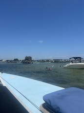 Aventure relaxante en catamaran : plongée avec tuba, voile, dauphins