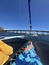 Aventure relaxante en catamaran : plongée avec tuba, voile, dauphins