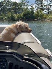 Pontoon Boat For Rent on Broken Bow Lake