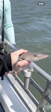 Fishing Boat or Private Cruise aboard 70ft Motor Yacht in Ocean City, NJ