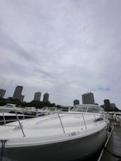 Yacht de luxe Diversey Harbor de 48 pieds, parfait pour jouer