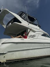 Luxurious Sea Ray Sedan Bridge 40' Motor Yacht, Captain and fuel included.