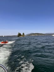 Coeur d'alene capitaneou um cruzeiro no lago e churrasco com pontão de 22 pés em South Bay