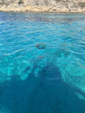 Bateau de sport de 20 pieds à louer à Protaras, Chypre