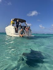 31 Foot SeaRay from Cayman