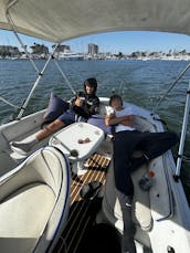 12 Person Electric Duffy Boat Rental in Marina del Rey, California