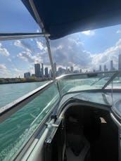 Precioso yate de lujo Sea Ray de 46 pies en Diversey Harbor