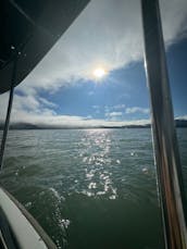 Aluguel de barco Duffy de 18 pés em Sausalito! (Vermelho, Barco 3)