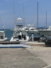 Most comfortable snorkeling/party boat 