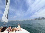 Navegación en catamarán por la bahía de San Diego, espaciosa y estable, navega con un gato divertido