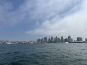 Navegación en catamarán por la bahía de San Diego, espaciosa y estable, navega con un gato divertido