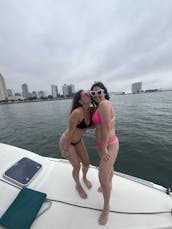 Navegación en catamarán por la bahía de San Diego, espaciosa y estable, navega con un gato divertido