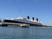 Visite touristique et excursion avec les dauphins à bord du yacht à moteur Bertram Express de 42 pieds à Los Angeles