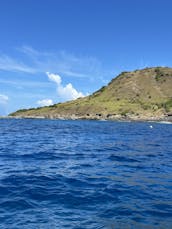 Incrível carta particular de mergulho com snorkel para os recifes de Rincon e da Ilha Desecheo