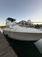 45 foot fly bridge sport yacht