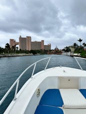 Snorkeling, swimming pigs, turtles, and a harbor tour in Nassau, Bahamas!