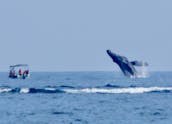 High end Catamaran, Luxury Private Party in Cabo San Lucas. Captain &  crew inc