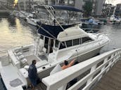 45 foot fly bridge sport yacht